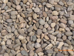 各類鵝卵石批發(fā)與供應 機制、天然及濾料鵝卵石的全面指南