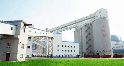 黃陵礦業(yè)一號煤礦選煤廠 開啟礦產與化工制品的智能化新篇章